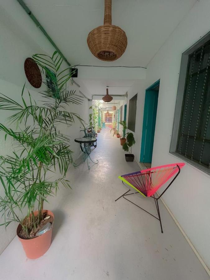Casa Calido Hotel Cozumel Exteriér fotografie