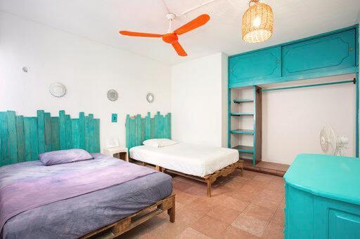 Casa Calido Hotel Cozumel Pokoj fotografie