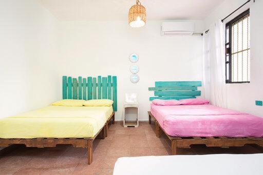 Casa Calido Hotel Cozumel Pokoj fotografie