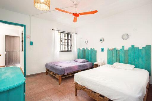 Casa Calido Hotel Cozumel Pokoj fotografie